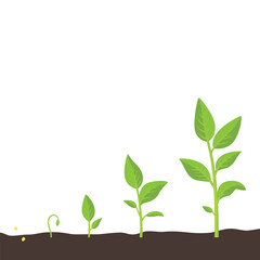 Plant Growth Stages, Vector Illustration. Seed to Sprout, Young Plant to Full Growth. Green Leaf Evolution Illustration. Gardening, Agriculture, Botany Concept for Farming and Nature Science