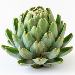 Obraz premium close-up of an artichoke