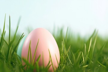 Fototapeta premium single colorful easter egg nestled in green grass on bright spring morning sky visible copy space