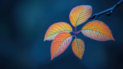 Single leaf on a branch surrounded by greenery highlighting the beauty and simplicity of nature's design