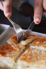 Traditional Turkish Cuisine Pastries borek on a plate 