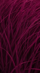 Fototapeta premium Vibrant Magenta Grass in Motion