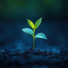 Young plant emerging from the soil in a natural environment symbolizing growth and renewal