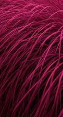 Fototapeta premium Vibrant Magenta Grass in Motion