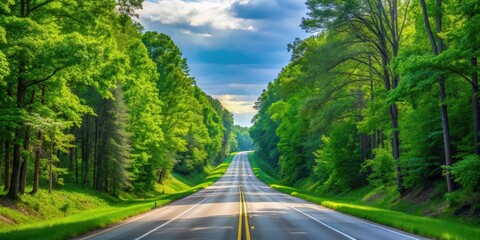 Fototapeta premium A serene highway with lush greenery and tall trees alongside it in Cleveland Ohio, Urban Countryside, Cuyahoga County Roads