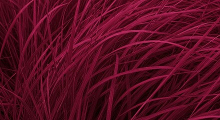 Obraz premium Vibrant Magenta Grass in Motion