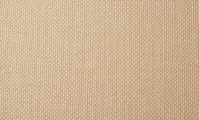 Textured beige fabric background