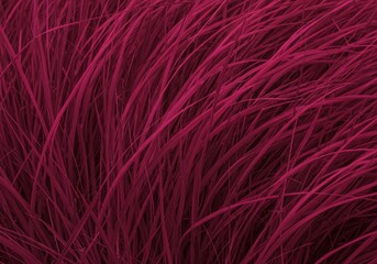 Fototapeta premium Vibrant Magenta Grass in Motion