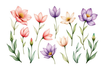 Fototapeta premium Elegant Watercolor Floral Clipart with Pink and Purple Flowers