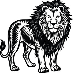 lion in black and white with blue eyes