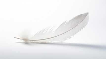 Obraz premium lightness subtle white background