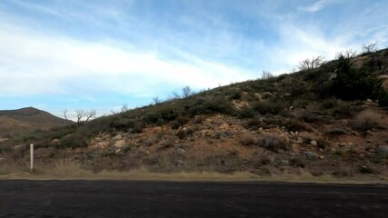 Arizona Driving 1736 Highway Tempe Sunflower