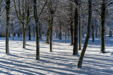 Winter landscapes in the park.