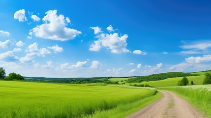blue road field