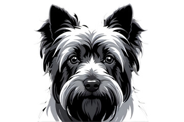 Cairn terrier portrait digital art studio close-up creative expression