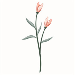 Elegant Hand-Drawn Peach Floral Elements