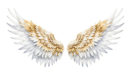 White and Gold Angel Wings watercolor png 