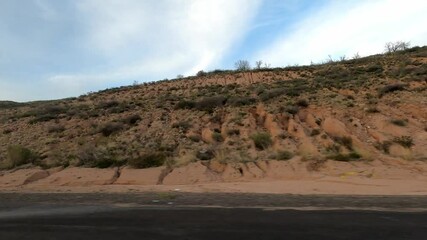 Arizona Driving 1738 Highway Tempe Sunflower