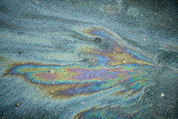 Oil Slick Creates Colorful Patterns on Asphalt Surface After Rain in Urban Environment