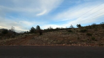 Arizona Driving 1741 Highway Tempe Sunflower