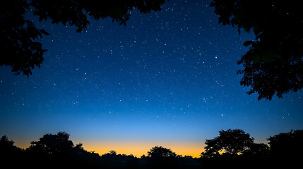 Fototapeta premium Starry Night Sky Over Calm Landscape with Silhouetted Trees