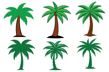 set of palm trees Palm trees isolated on white background. Beautiful vector Palm tree set