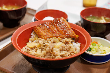 うなぎの蒲焼トッピング。
日本のソウルフード、牛丼のお店でディナー。
東京都港区竹芝桟橋-2024
