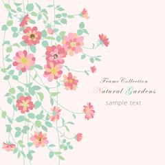 Frame Collection: Rosa banksiae.
Beautiful pink climbing roses 1