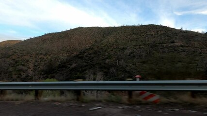 Arizona Driving 1745 Highway Tempe Sunflower