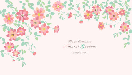 Frame Collection: Rosa banksiae.
Beautiful pink climbing roses 3