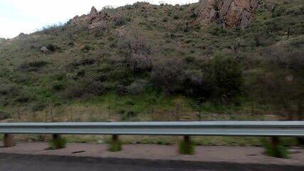 Arizona Driving 1746 Highway Tempe Sunflower