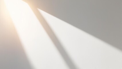 Clean white background with soft sunlight falling on the wall.