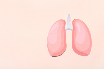 Paper lungs on beige background