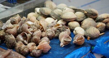 시장에서 판매 중인 소라고동과 백합