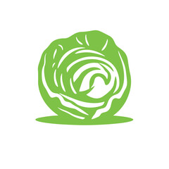 Cabbage vegetable vector logo isolated color illustration and outline.