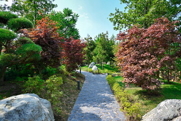Cozy paved path through the Japanese Garden of Krasnodar
