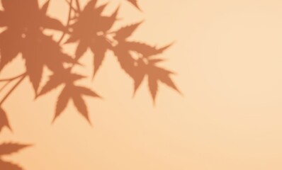 Silhouette of maple leaves