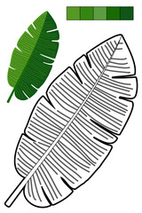 Coloring page whit tropical leaf for coloring book about exotic plants. Contour, colorful sample, color palette. For preschool and early elementary school children, to kid enjoy jungle vibes