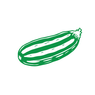 green zucchini vegetable isolated white clip art preview