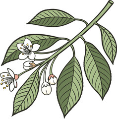 Nature-Inspired Botanical Branch Clipart