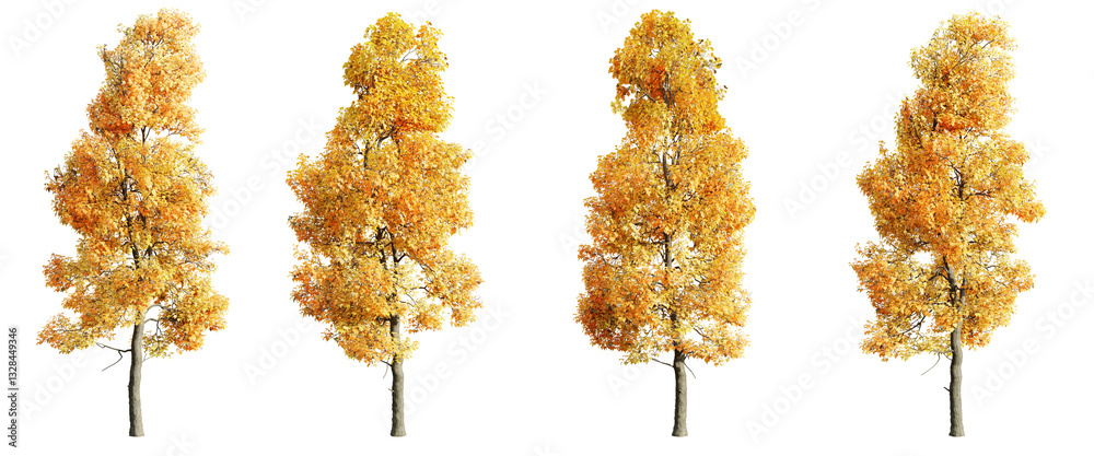 Poster tree variation in autumn on transparent background.3d rendering