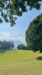 golf course in summer