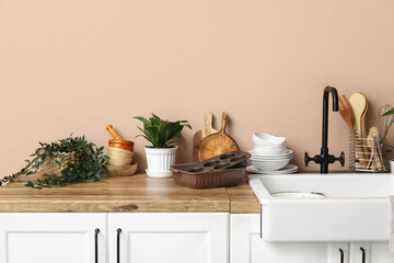 Plants with clean dishes on counter near beige wall