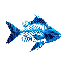 Fototapeta premium X-ray of a Fish Skeleton