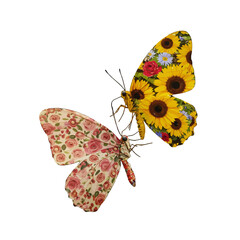 Naklejka premium Floral Butterflies