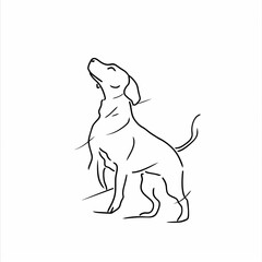 Thin Line Playful Dog Illustration - 細線遊ぶ犬イラスト