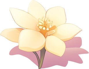 vector illustration of a flower