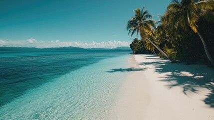 Fototapeta premium Tropical Paradise: Serenity on a Pristine Beach