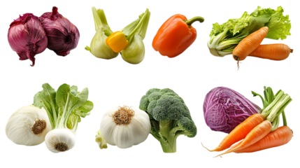 Pack Fermented Vegetables Set in Different Poses Against Transparent Background for Gut Health, Probiotic Foods, or Culinary Concepts