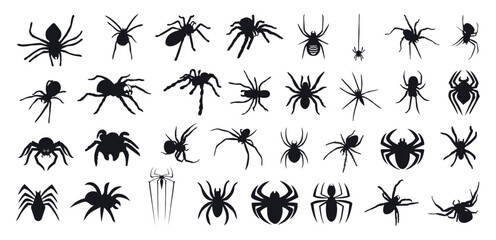 Set of spider silhouette isolated vector illustration